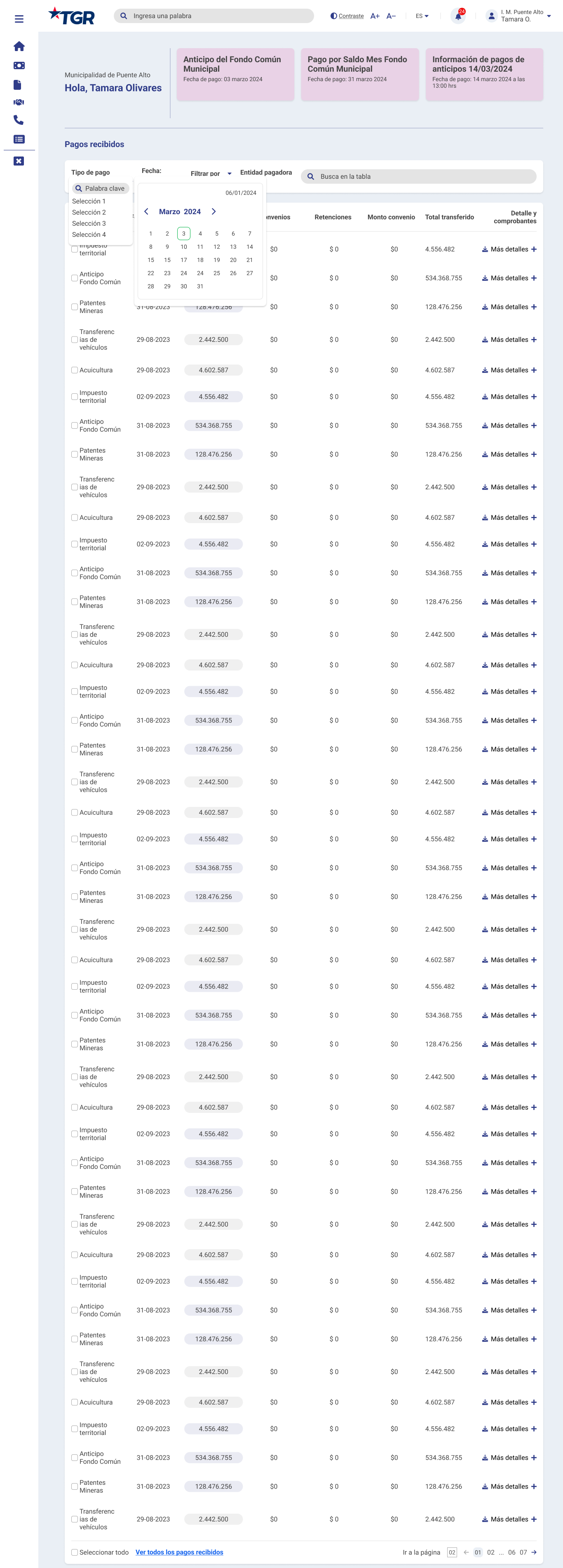 Received Payments table view — filters, calendar, search, and detailed payment records with amounts and download options